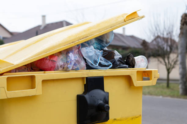 Best Basement Cleanout in Mayfield, KY